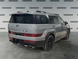 2024 Hyundai Santa Fe Ultimate Calligraphy image 5