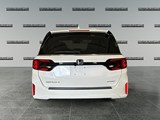 2025 Honda Odyssey Sport-L image 4