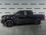 2024 Ford F-150 STX image 2
