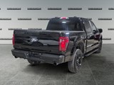 2024 Ford F-150 STX image 5