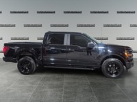 2024 Ford F-150 STX 4WD SuperCrew 5.5' Box