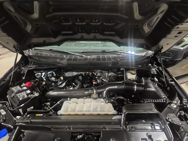 2024 Ford F-150 STX 4WD SuperCrew 5.5' Box